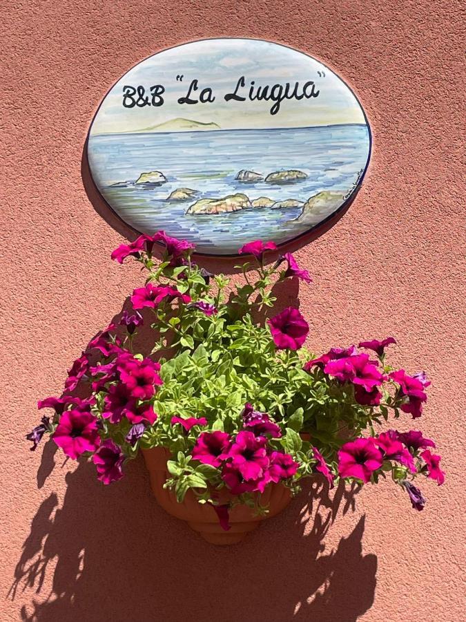 B&B La Lingua Procida Extérieur photo